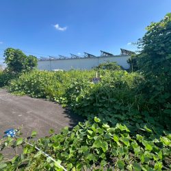 久留米市荒木町荒木　売地　8坪 画像5